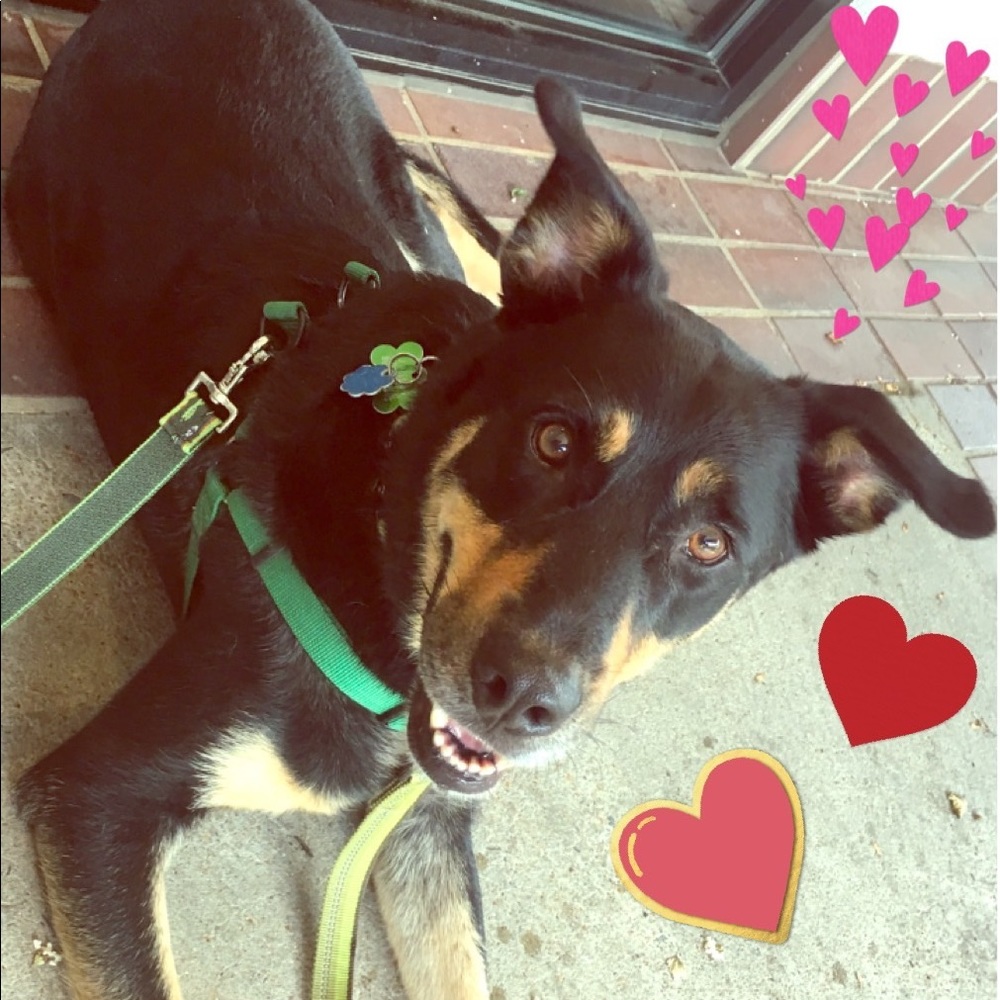 Meet my sweet baby boy!